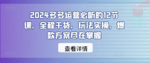 2024年多多运营实战课：12节干货课程，掌握爆款方案与实操技巧-小伟资源网