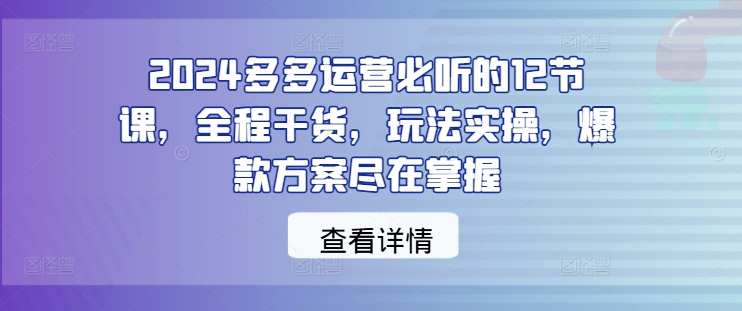 2024年多多运营实战课：12节干货课程，掌握爆款方案与实操技巧-小伟资源网