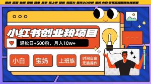 小红书创业粉项目：日增500粉，20分钟躺赚长尾收益，宝妈小白轻松上手【揭秘】-小伟资源网