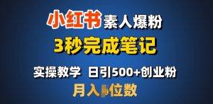 小红书素人爆粉秘籍：3秒笔记技巧，日引500+流量，月入过万轻松实现-小伟资源网