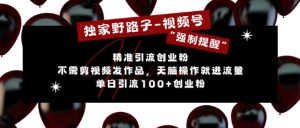 视频号“强制提醒”无脑操作，单日引流100+创业粉，无需剪辑发布作品-小伟资源网