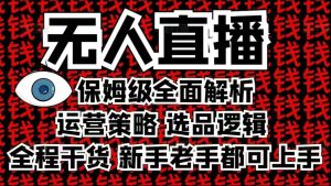 2025无人直播全攻略：保姆级解析，新手老手轻松上手-小伟资源网