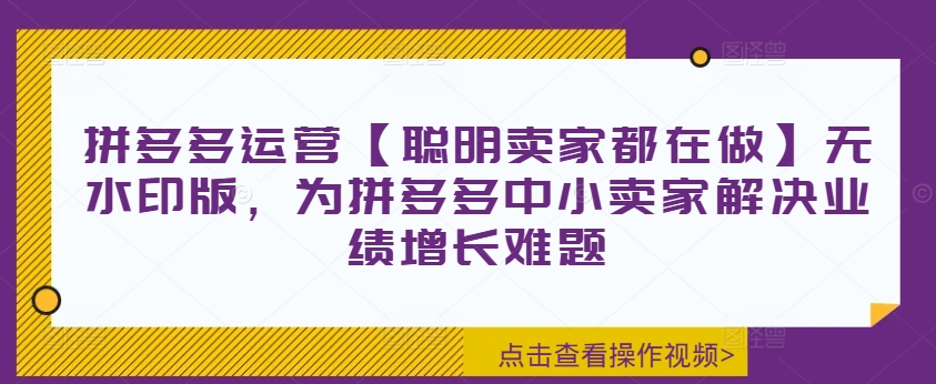 拼多多运营秘籍：聪明卖家必备的无水印版业绩增长指南-小伟资源网