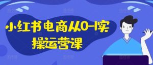 小红书电商运营全攻略:从0到1实操指南,手机电脑双端操作与IP私域课程-小伟资源网