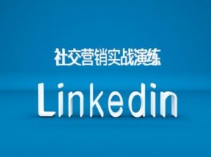 LinkedIn营销实战:B2B跨境外贸企业社交营销新策略与技巧-小伟资源网