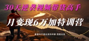 30天速成视频带货高手：麦子甜特训营助你单月变现6万+-小伟资源网