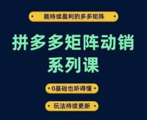 拼多多矩阵动销课：0基础入门，持续盈利玩法更新，轻松掌握多多矩阵技巧-小伟资源网