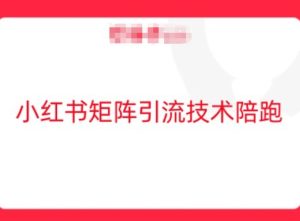 小红书矩阵引流技巧：轻松掌握流量获取与运营策略-小伟资源网