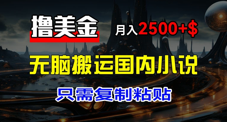 揭秘：新手月入2500+美金，搬运国内小说爽文轻松赚钱-小伟资源网
