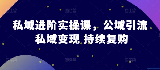 《私域运营实战：公域引流、私域变现与复购策略全解析》-小伟资源网