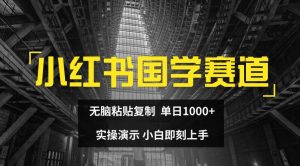 小红书国学赛道:无脑复制粘贴,单日1K收益实操演示,小白快速上手【揭秘】-小伟资源网