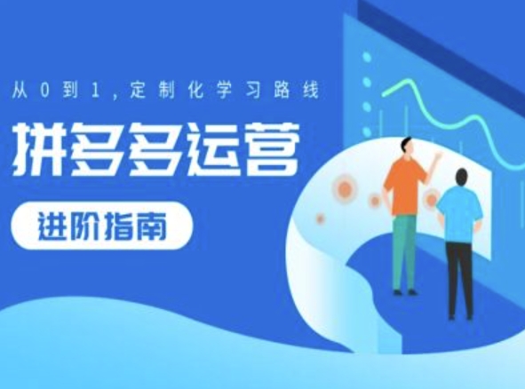 拼多多运营从入门到精通：0基础定制化学习路线全攻略-小伟资源网