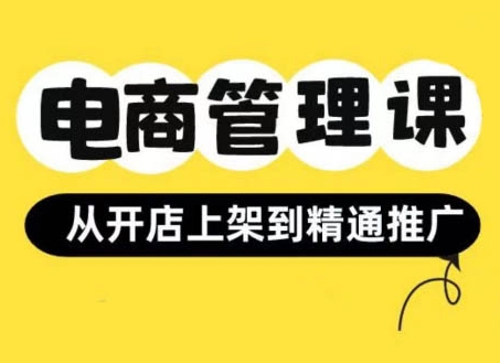 小红书与闲鱼电商实战：从开店上架到精通推广的全流程管理课程-小伟资源网