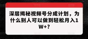揭秘视频号分成计划：轻松月入1W+的成功秘诀-小伟资源网