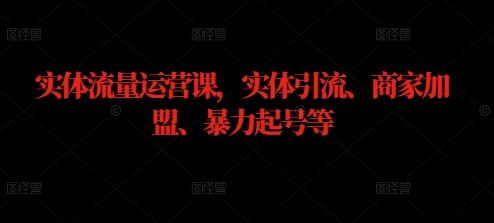 实体流量运营实战课：引流技巧、商家加盟策略与快速起号方法-小伟资源网