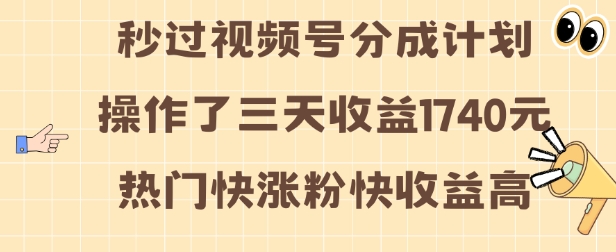 视频号三天收益1740元：热门视频快速涨粉高收益秘诀揭秘-小伟资源网