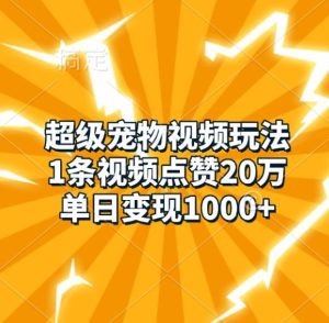 《超级宠物视频爆红秘诀：单条20万点赞，日赚1千的变现技巧》-小伟资源网
