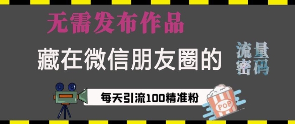 揭秘微信朋友圈引流秘籍：无需发布作品，单日精准吸引100+创业粉-小伟资源网