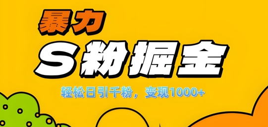 单人单机日引千粉，变现1k+：S粉流量掘金计划全攻略【揭秘】-小伟资源网