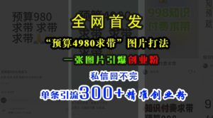 小红书爆款图片策略：4980预算引流300+精准创业粉，私信回复不停-小伟资源网