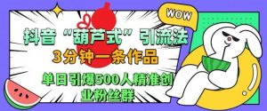 抖音葫芦式引流法：三分钟作品引爆500精准创业粉丝【揭秘】-小伟资源网