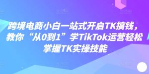 从零开始学TikTok运营:跨境电商新手一站式掌握TK实操技能-小伟资源网