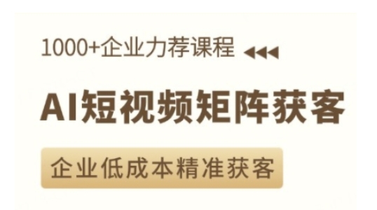 AI短视频矩阵实操课：低成本精准获客策略，助力企业高效营销-小伟资源网