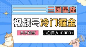 2024视频号冷门赛道掘金秘籍:简单操作,新手小白轻松月入1w-小伟资源网