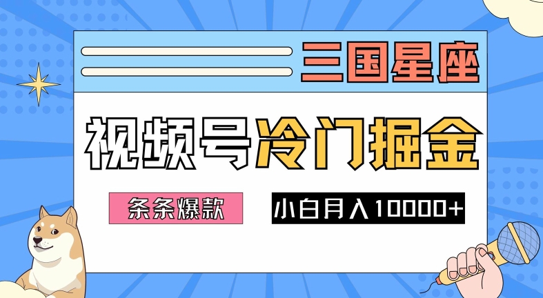 2024视频号冷门赛道掘金秘籍：简单操作，新手小白轻松月入1w-小伟资源网