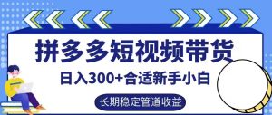 拼多多短视频带货新手日赚300+，揭秘长期稳定被动收益技巧-小伟资源网