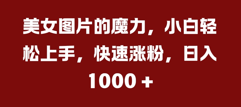 揭秘美女图片的魔力：小白轻松上手，快速涨粉，日入几张-小伟资源网
