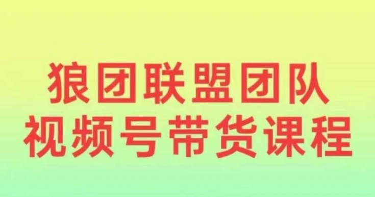 2024狼团联盟视频号带货指南：零基础小白快速上手视频号营销-小伟资源网