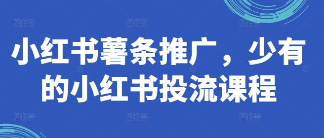 小红书薯条推广：独家投流课程，掌握高效营销技巧-小伟资源网