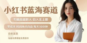 小红书高端职场人蓝海赛道：月入无上限，矩阵操作与私域实操全攻略-小伟资源网