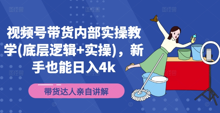 视频号带货实战指南：新手快速上手，日入4000元的底层逻辑与实操技巧-小伟资源网