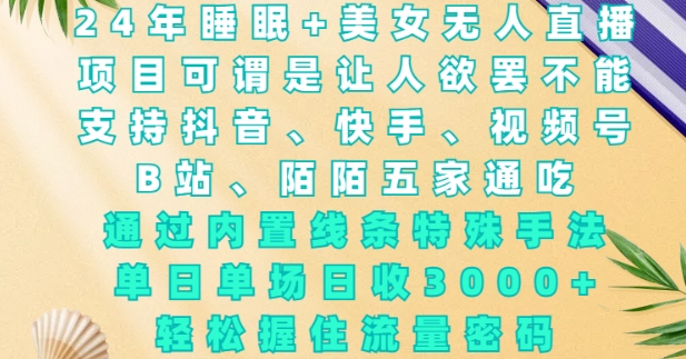 2024年睡眠与美女无人直播揭秘：内置线条手法助单场日收3k+，轻松掌握流量密码-小伟资源网