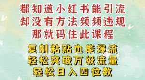 小红书减肥引流秘籍：一周突破万级流量池，日赚四位数【揭秘】-小伟资源网