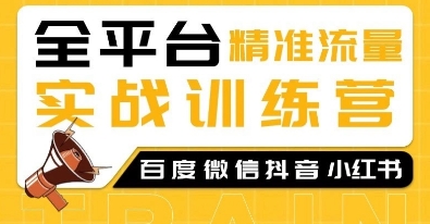 全平台精准流量实战：百度微信抖音小红书SEO引流教程-小伟资源网