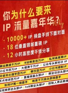 群响IP流量嘉年华：2024典藏版PPT与现场视频全记录-小伟资源网