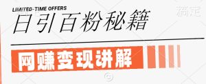 闲鱼引流创业粉日增100+，网创项目变现全攻略【揭秘】-小伟资源网