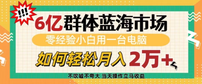 零经验小白如何通过一台电脑轻松月入过万？揭秘6亿群体蓝海市场-小伟资源网