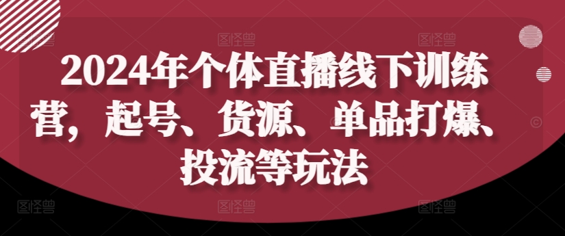 2024年个体直播训练营：起号、货源、单品打爆与投流全攻略-小伟资源网