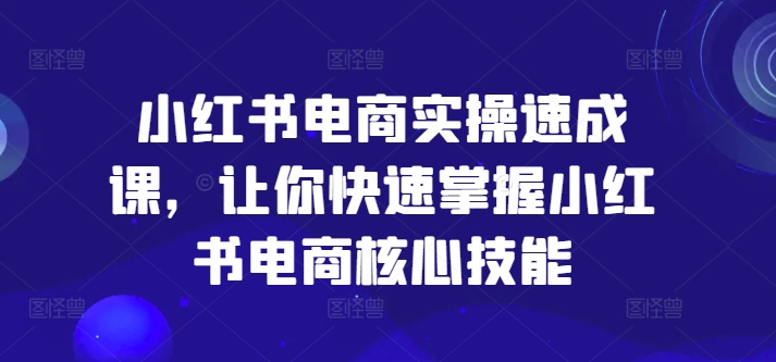 小红书电商实战速成：快速掌握核心技能，轻松玩转电商运营-小伟资源网