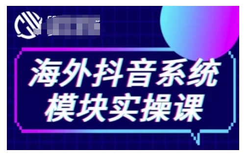 海外抖音TikTok实操课：短视频带货、直播带货与小店运营全攻略-小伟资源网