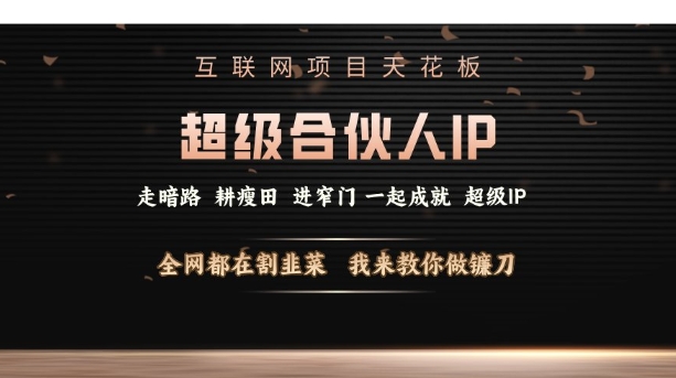 揭秘互联网项目：从超级合伙人IP到打造自己的“镰刀”策略-小伟资源网