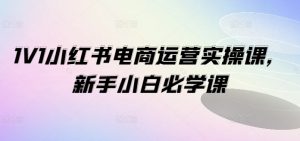 小红书电商运营1V1实操课：新手小白快速上手指南-小伟资源网