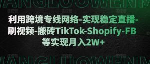 跨境专线网络助力直播与电商：TikTok、Shopify、FB月入2W+全攻略-小伟资源网