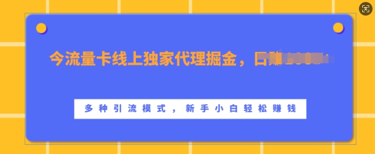 揭秘流量卡线上代理：日入1k+，多种引流模式，新手小白轻松上手-小伟资源网
