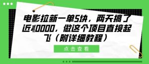 电影拉新项目：两天赚近1万，详细教程揭秘，轻松起飞！-小伟资源网