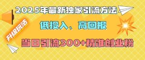 2025年独家引流秘籍：低投入高回报，日增300+精准创业粉-小伟资源网